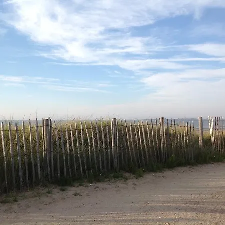 Kokkelikoo Σπίτι διακοπών Blankenberge