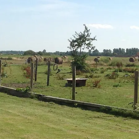 Kokkelikoo Blankenberge